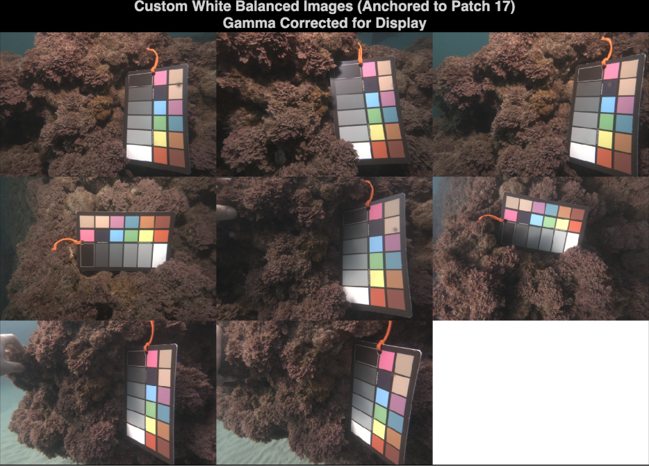 Figure 7: Visuals of figure 6 analysis